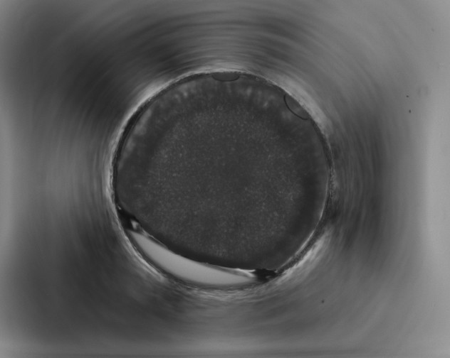 X0000086950797200705141821