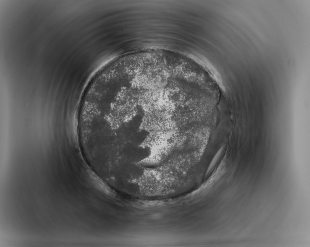 X0000086950798200705141821