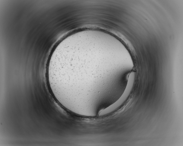 X0000086950799200705141821