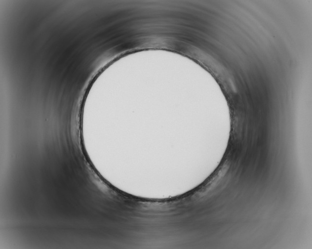 X0000086950800200705141821