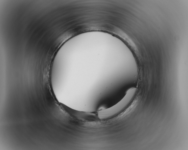 X0000086950801200705141821