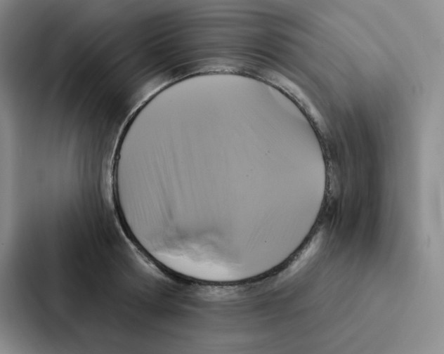 X0000086950802200705141821