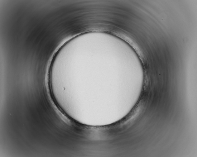 X0000086950803200705141821