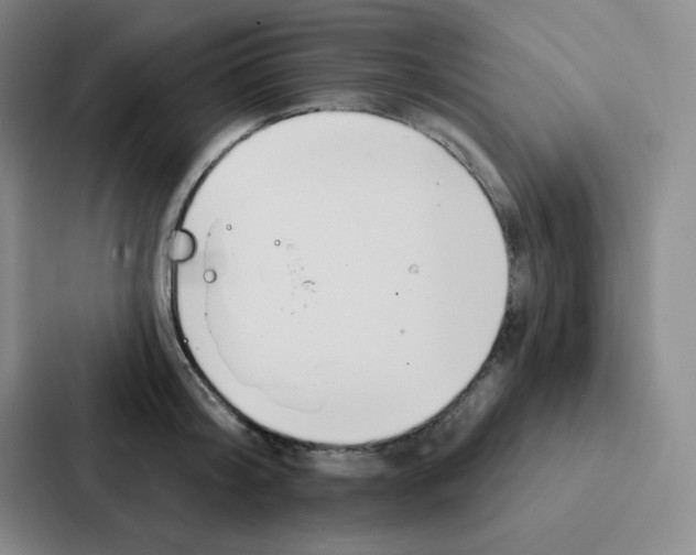 X0000086950804200705141821