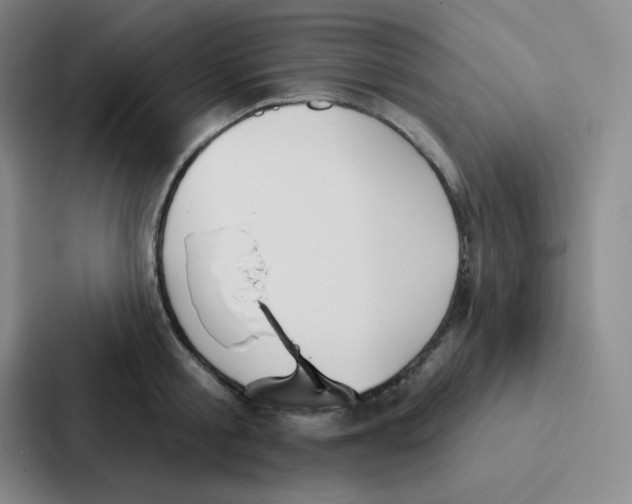 X0000086950805200705141821