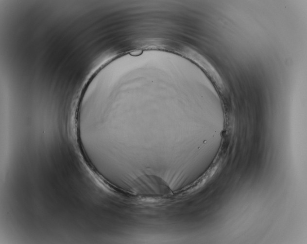 X0000086950806200705141821