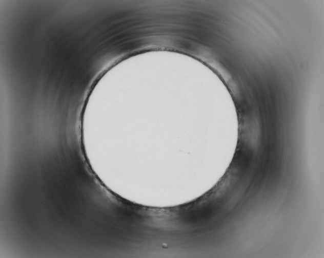 X0000086950807200705141821