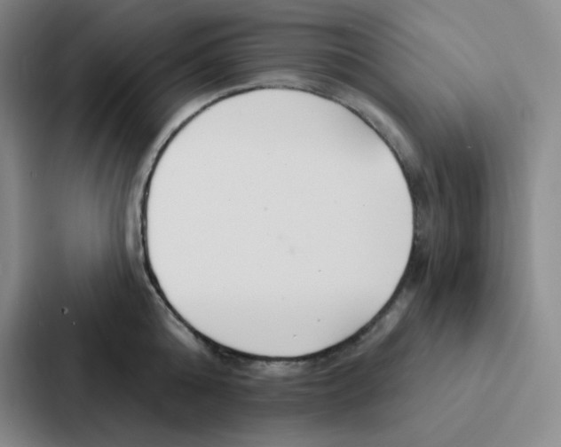 X0000086950808200705141821