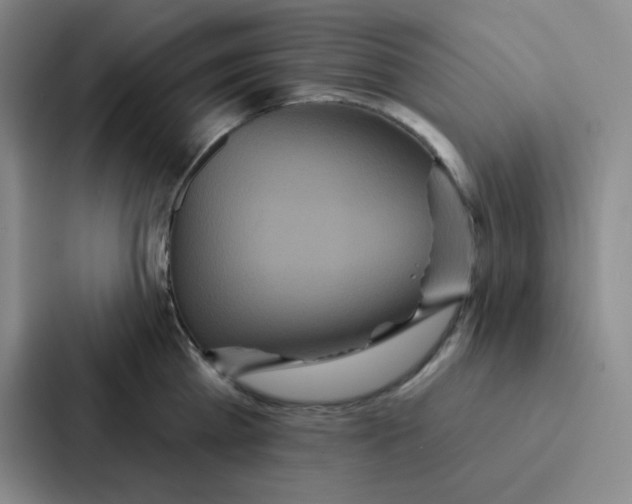 X0000086950809200705141821