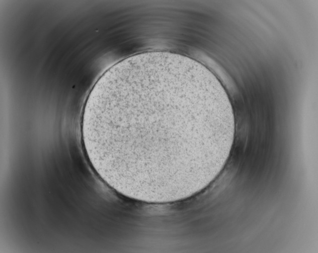 X0000086950810200705141821