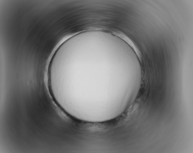 X0000086950811200705141821