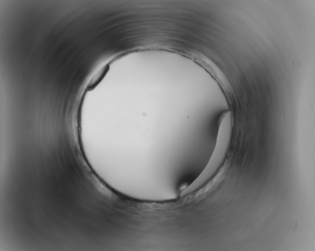 X0000086950812200705141821