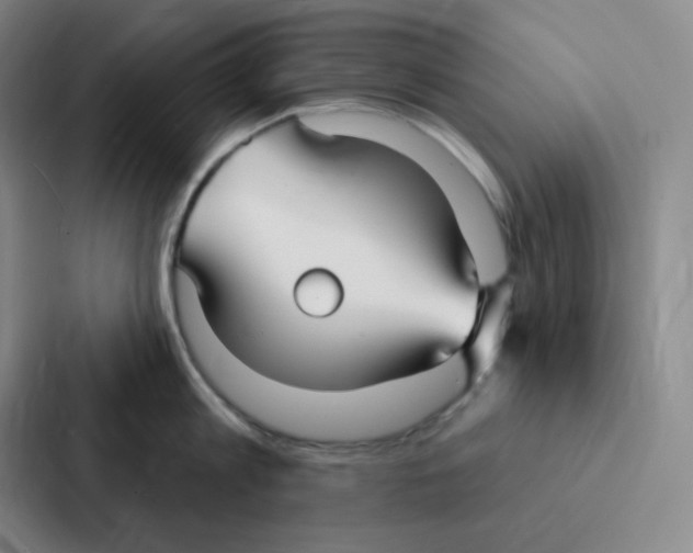 X0000086950813200705141821