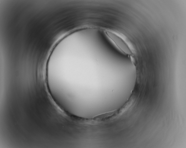 X0000086950815200705141821