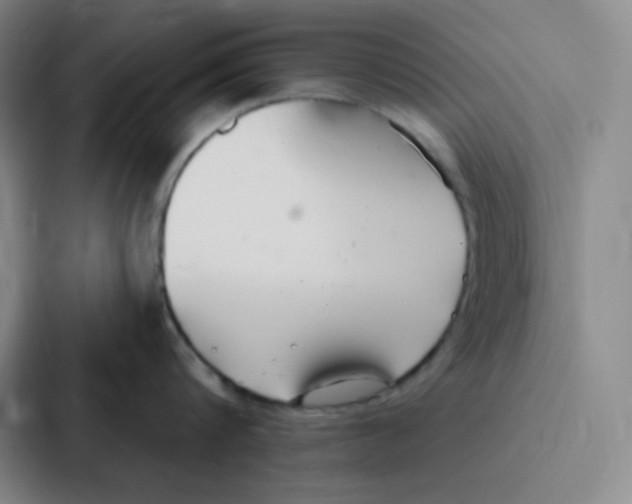 X0000086950816200705141821