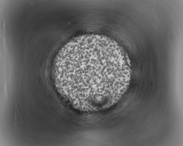 X0000086950817200705141820