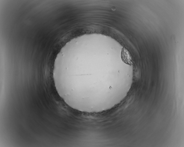 X0000086950819200705141820