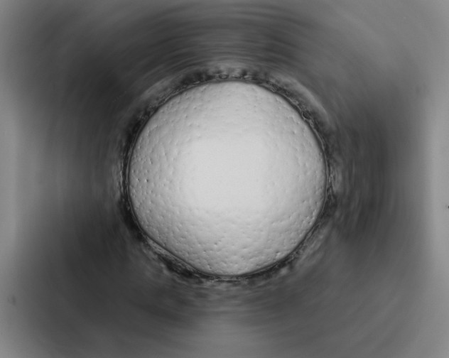 X0000086950821200705141820