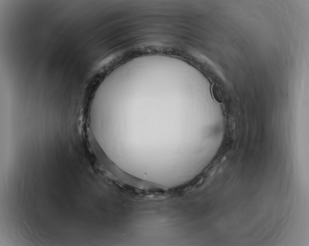 X0000086950822200705141820