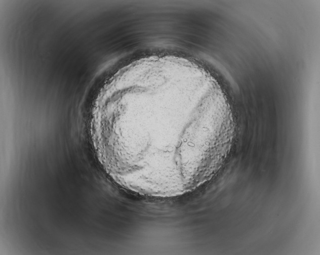 X0000086950823200705141820