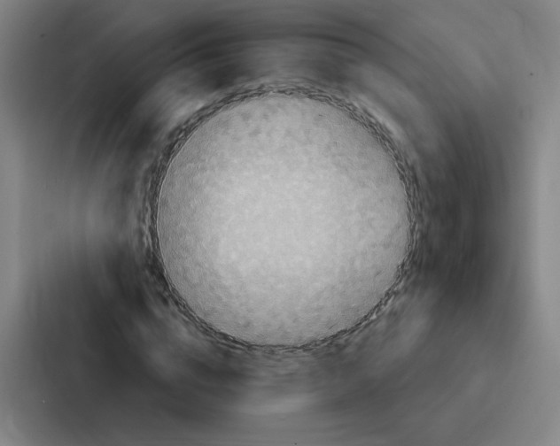 X0000086950824200705141820