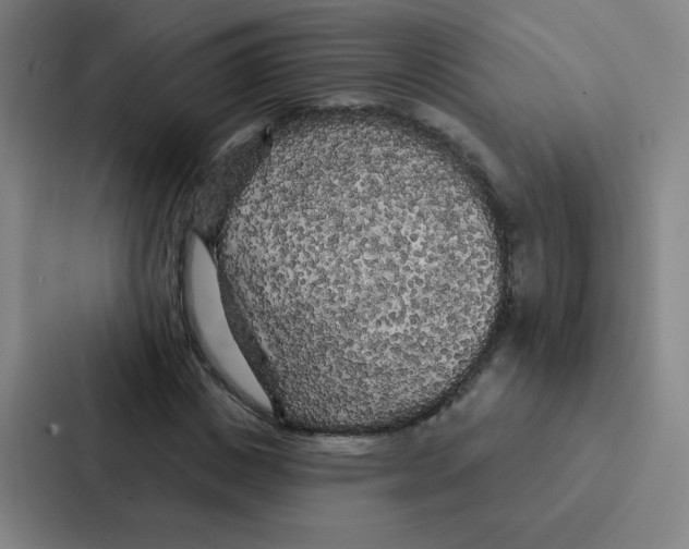 X0000086950825200705141820