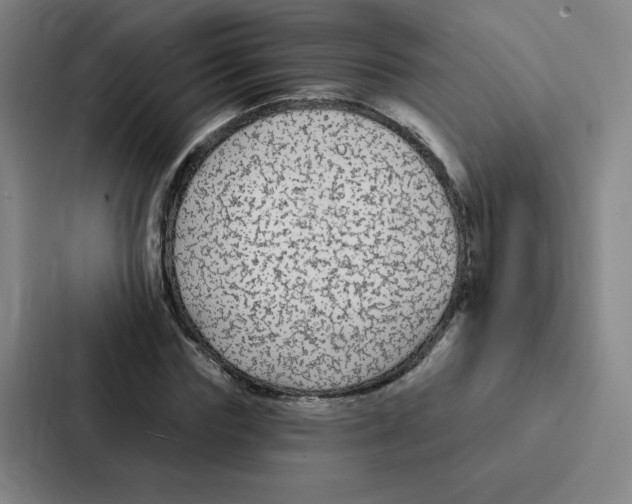 X0000086950827200705141820