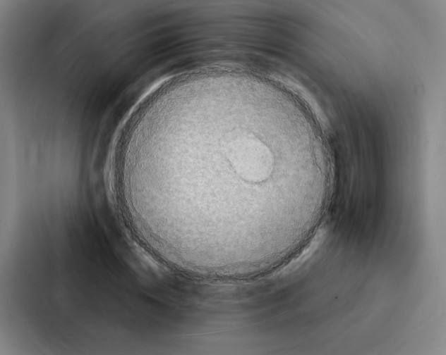 X0000086950828200705141820