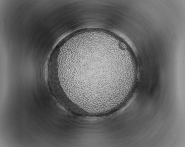 X0000086950829200705141820