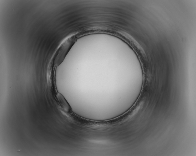 X0000086950830200705141820