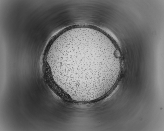 X0000086950831200705141820