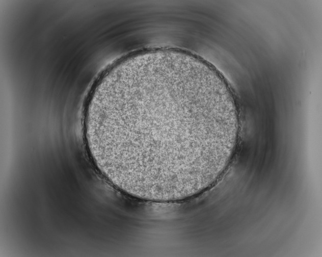 X0000086950832200705141820