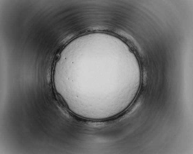 X0000086950833200705141820