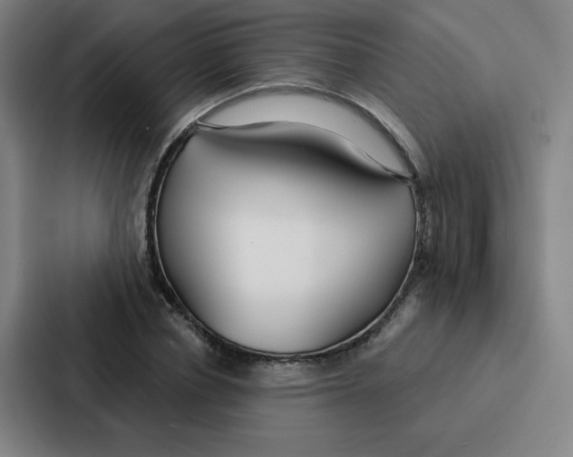 X0000086950834200705141820