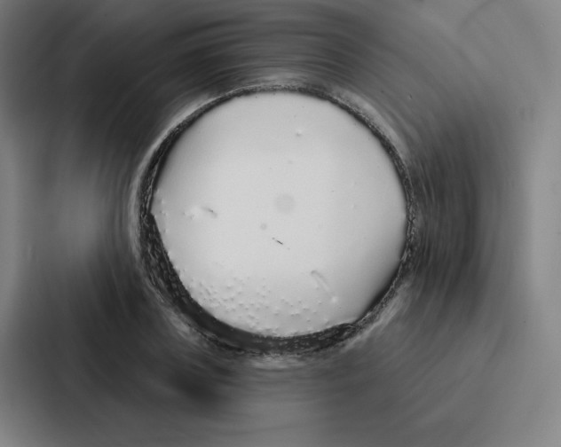 X0000086950835200705141820