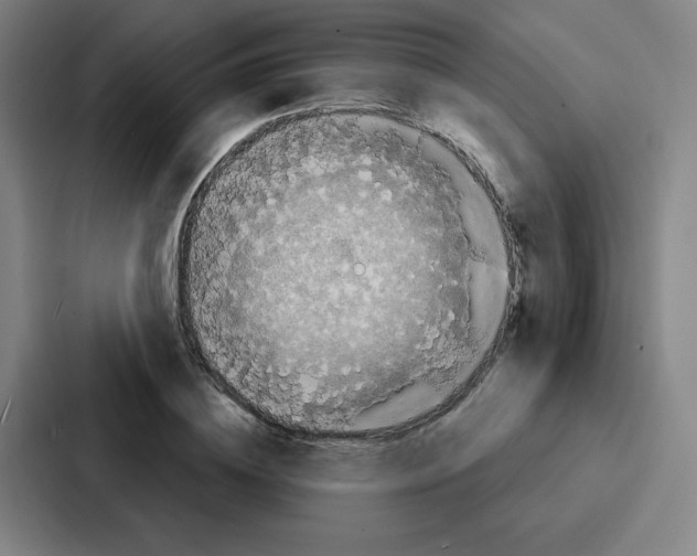 X0000086950836200705141820