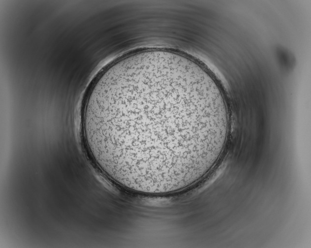 X0000086950837200705141820