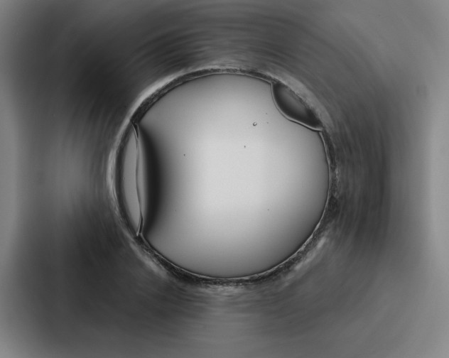 X0000086950838200705141820