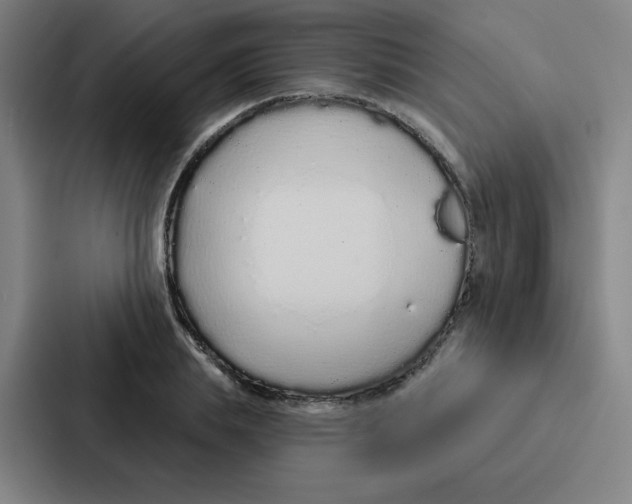 X0000086950839200705141820