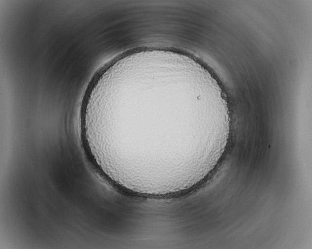 X0000086950840200705141820