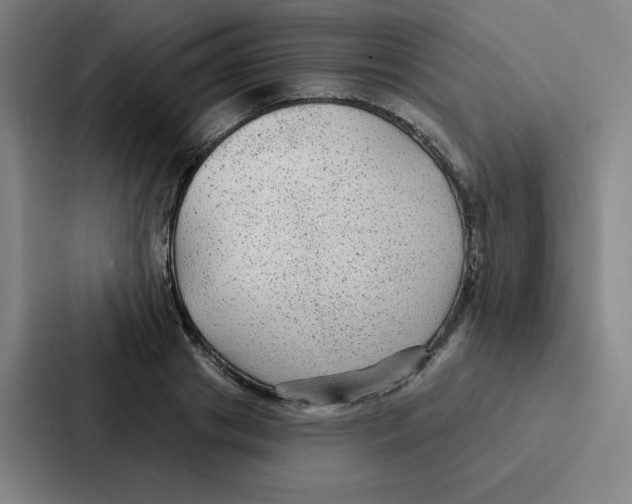 X0000086950841200705141820