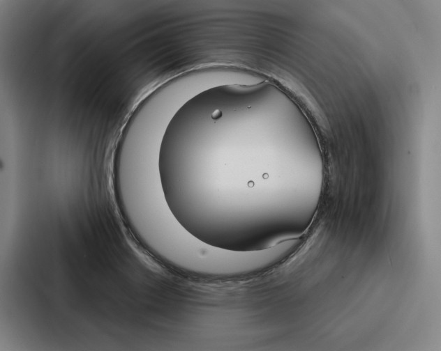 X0000086950842200705141820