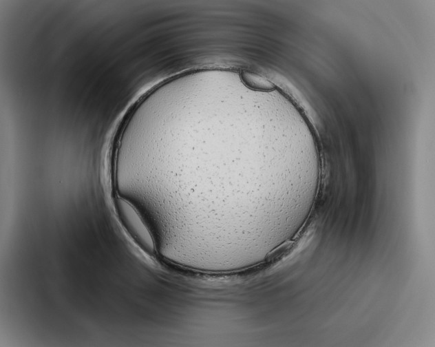 X0000086950843200705141820