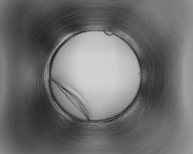 X0000086950844200705141820