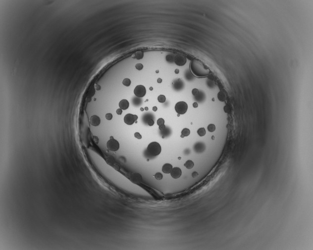 X0000086950845200705141820