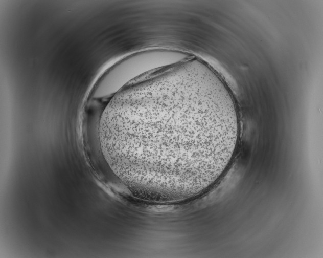 X0000086950846200705141820