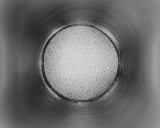 X0000086950847200705141820