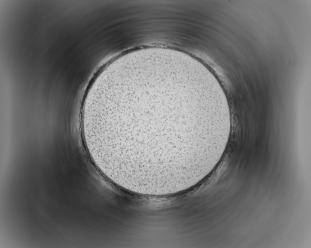 X0000086950848200705141820