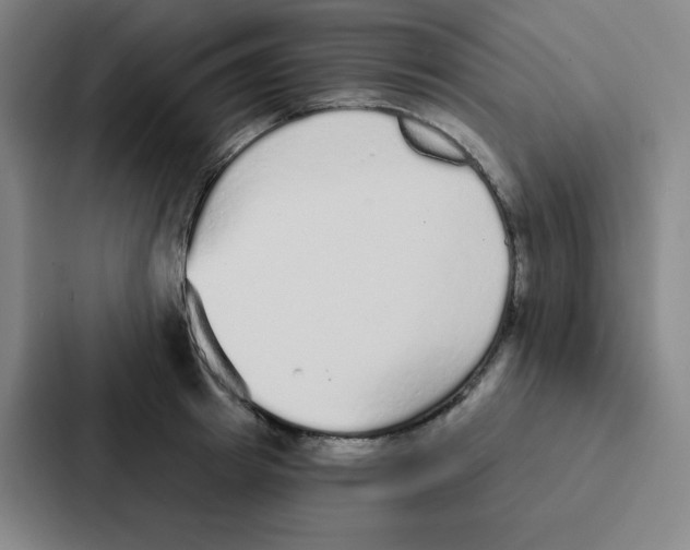 X0000086950849200705141820