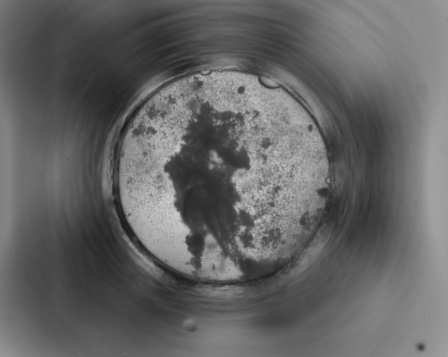 X0000086950851200705141820